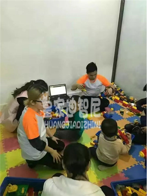 皇家迪智尼-乐高