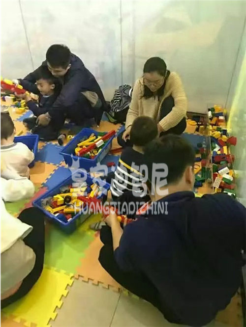 皇家迪智尼-乐高