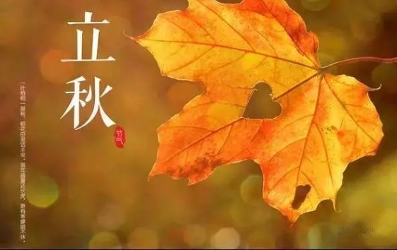 皇家迪智尼 I 今日秋分，这些知识告诉孩子！