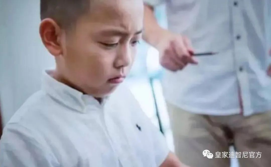皇家迪智尼 I “严父慈母”和“严母慈父”哪种组合教育出来的孩子更好？