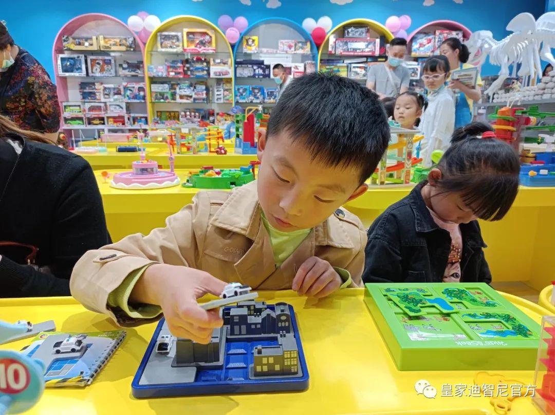 皇家迪智尼 I 关于玩具品类分享大全！！