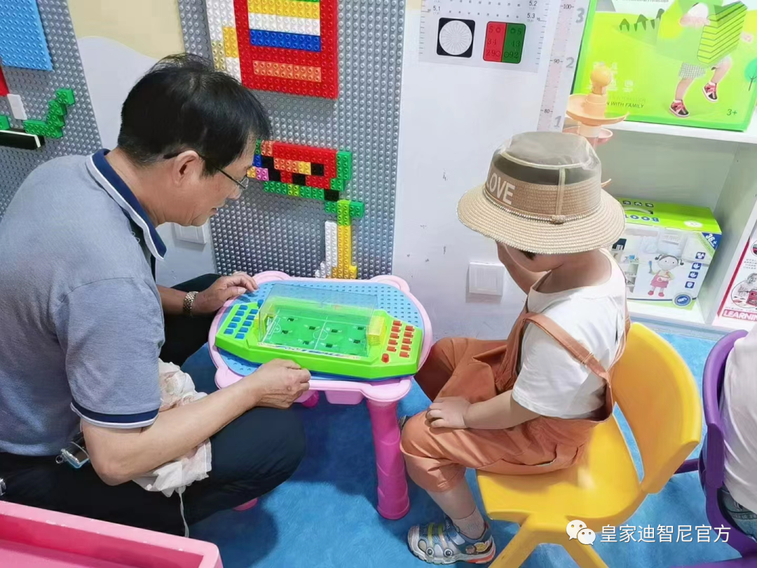 皇家迪智尼 I 三步就能够学会，分辨益智玩具的技巧！！