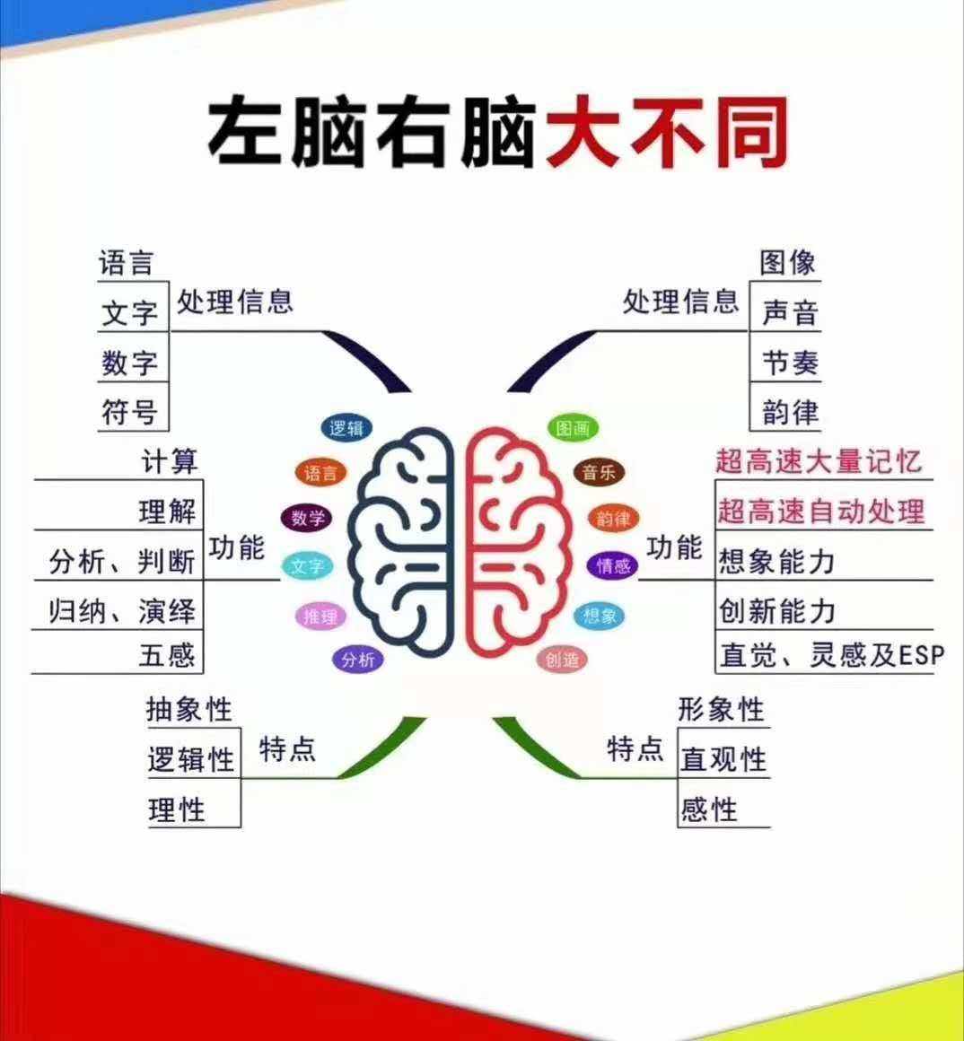 皇家迪智尼 I 你知道吗？孩子的智商高低受到许多因素的影响！