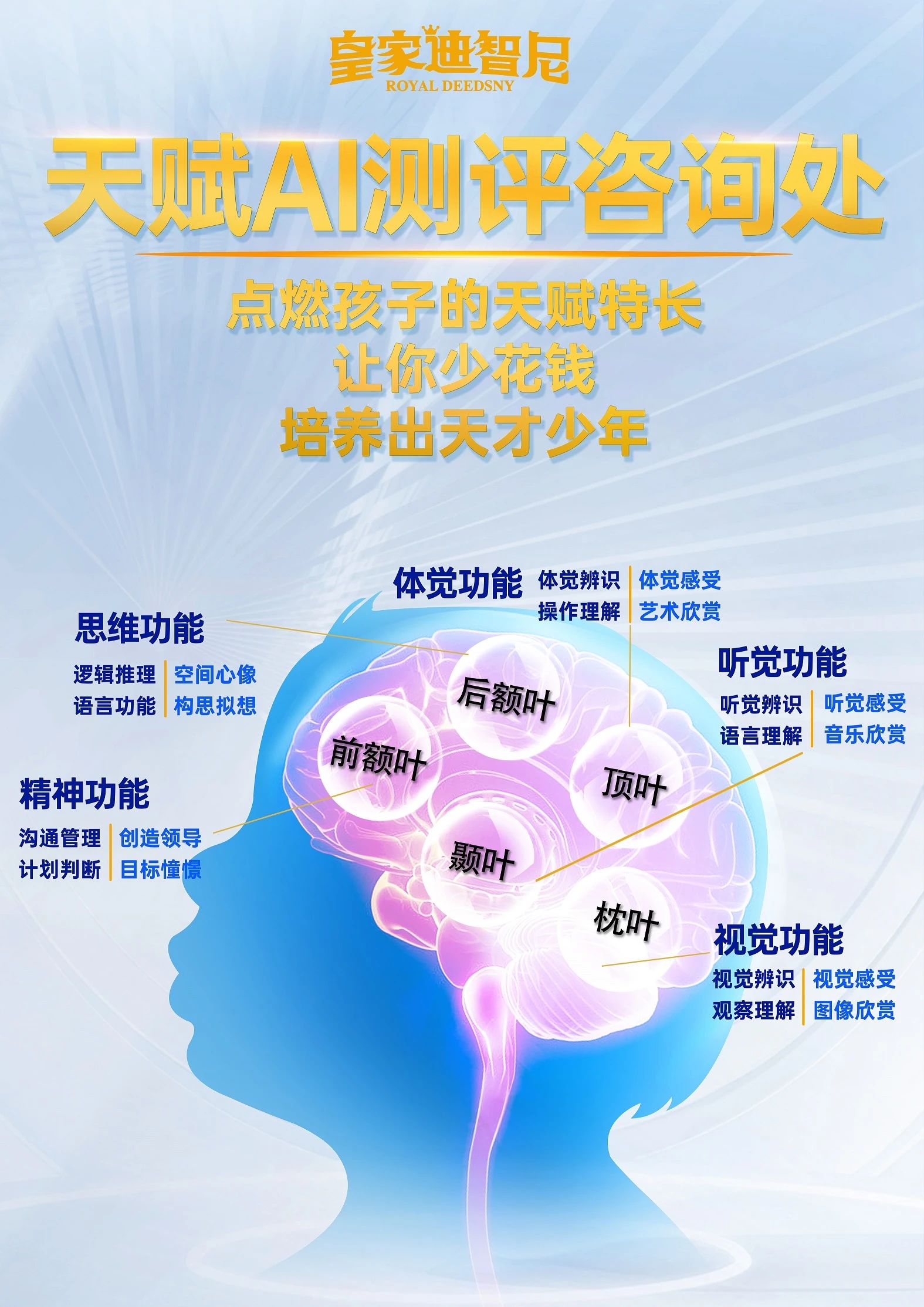 皇家迪智尼 I 为什么儿童益智玩具体验馆一定要引进天赋AI测评？