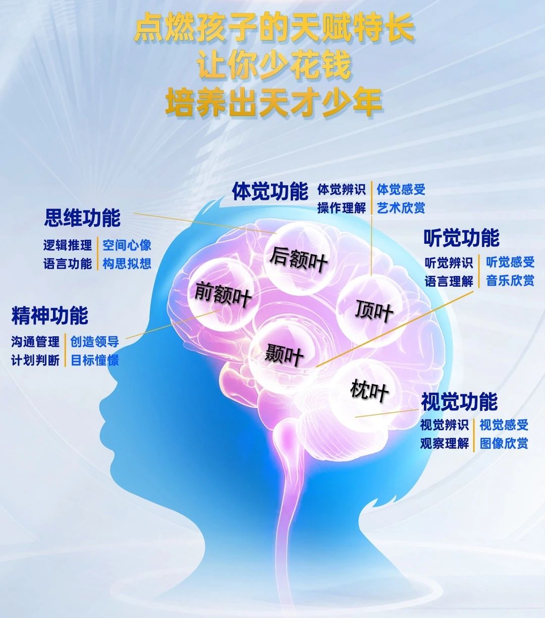 皇家迪智尼 I 天赋AI测评引领玩具行业市场新风潮！